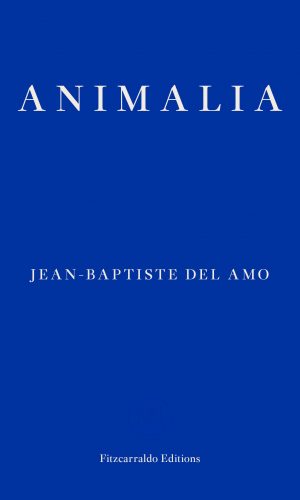 animalia